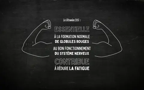 La vitamine B12, essentielle pour les globules rouges et le système nerveux, aide à réduire la fatigue. Des bras musclés symbolisent sa force.