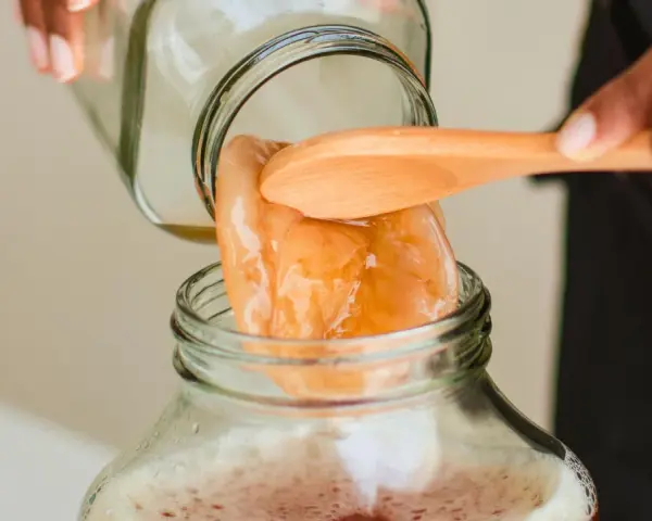 Une main dépose délicatement un scoby maison dans un bocal rempli de liquide pétillant.