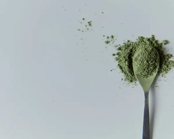 Cuillère remplie de poudre verte, rappelant la chlorella. Attention aux contre-indications avant consommation.