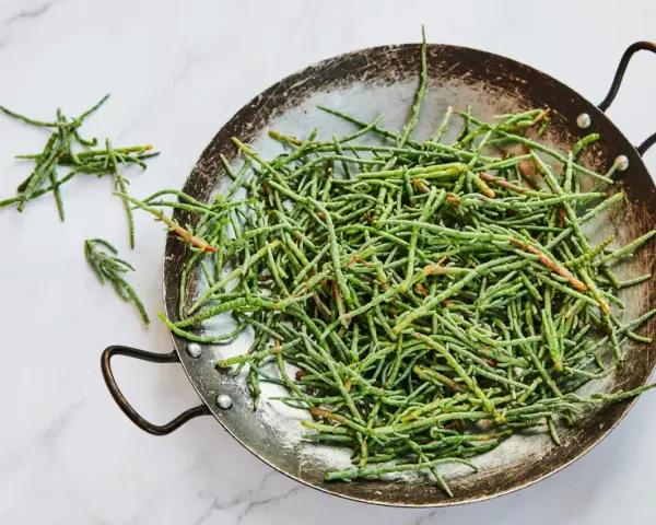 Un plat rempli de salicorne fraîche, un légume marin aux nombreux bienfaits pour la santé, prêt à être cuisiné.