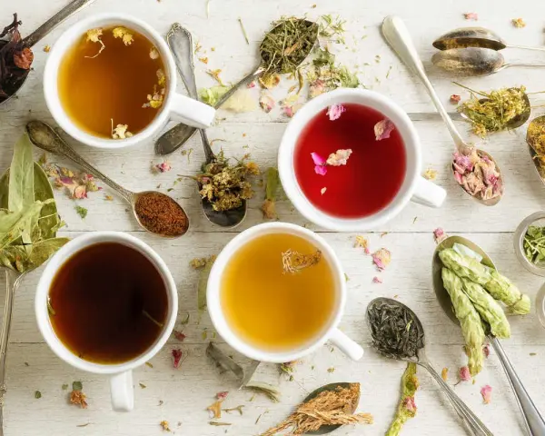 Tasses de tisanes aux herbes variées, idéales pour une infusion douleur règles. Des cuillères regorgent de fleurs séchées et de feuilles.