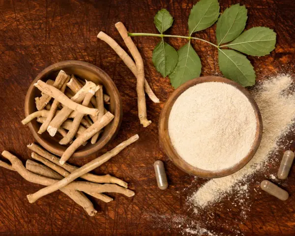 Racines d'Ashwagandha, poudre et gélules, une plante adaptogène aux multiples bienfaits.