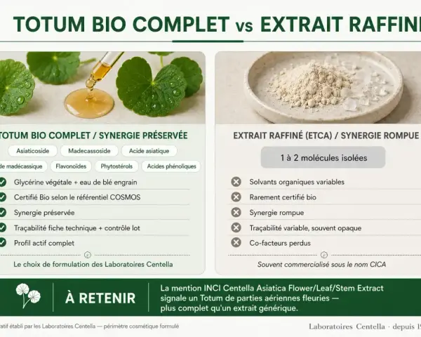 Comparaison entre le totum bio complet de gotu kola et un extrait raffiné, mettant en avant la synergie préservée du premier.