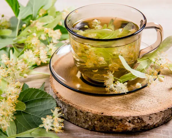Une tasse de thé de tilleul, aux fleurs et feuilles fraîches, évoquant ses bienfaits apaisants.