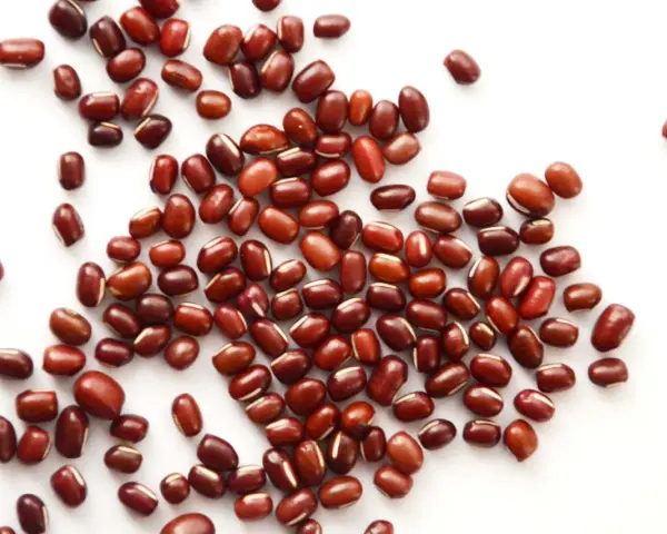 Grains de haricot azuki, petits et rouges, parsemés sur fond blanc. Découvrez les haricot azuki bienfaits pour une alimentation saine.