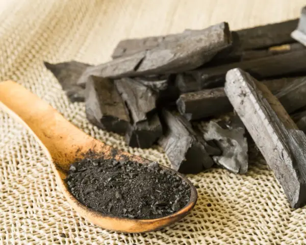 Morceaux de charbon actif et poudre dans une cuillère en bois. On se demande en combien de temps agit le charbon actif pour une détox.