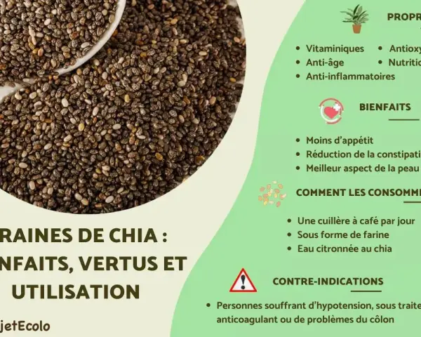 Graines de chia : leurs nombreux bienfaits pour la santé, comme la réduction de l'appétit et l'amélioration de la peau.