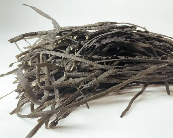 Un tas de spaghetti de mer séchés, ressemblant à des fils sombres et ondulés, prêts à être réhydratés pour un plat savoureux.