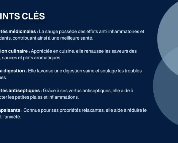 Points clés sur la sauge : ses bienfaits médicinaux, culinaires, digestifs, antiseptiques et apaisants.