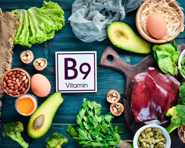 Assiette colorée avec foie, légumes verts, avocats, œufs, noix et haricots, mettant en avant la vitamine B9 essentielle.
