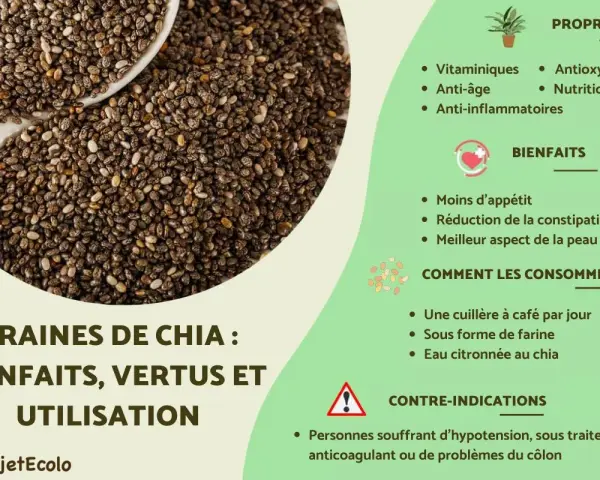 Graines de chia : une cuillère à café par jour pour leurs bienfaits nutritionnels, anti-âge et anti-inflammatoires.