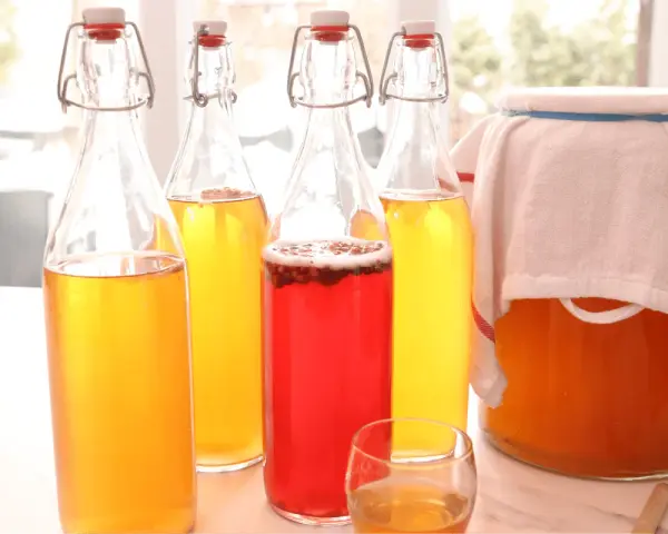 Bouteilles de kombucha jaune et rouge, prêtes pour la fermentation. Apprenez comment faire du kombucha maison.