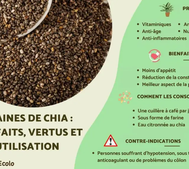 Graines de chia : une cuillère à café par jour pour leurs bienfaits nutritionnels, anti-âge et anti-inflammatoires.