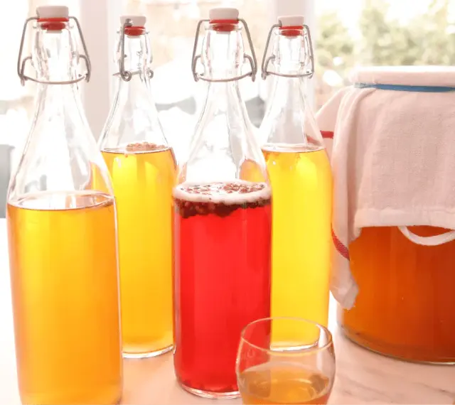 Bouteilles de kombucha jaune et rouge, prêtes pour la fermentation. Apprenez comment faire du kombucha maison.