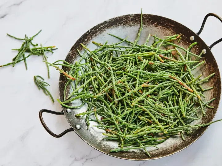 Un plat rempli de salicorne fraîche, un légume marin aux nombreux bienfaits pour la santé, prêt à être cuisiné.