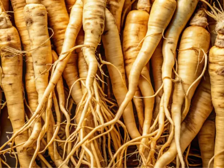 Racines de ginseng entrelacées, évoquant les nombreux ginseng bienfaits pour la santé et le bien-être.