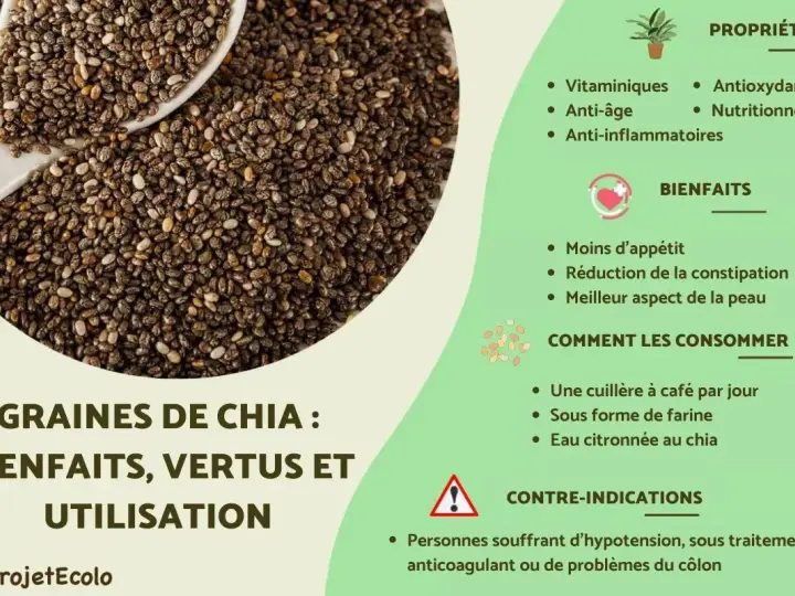 Graines de chia : leurs nombreux bienfaits pour la santé, comme la réduction de l'appétit et l'amélioration de la peau.