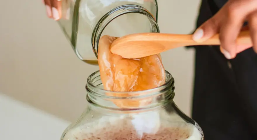 Une main dépose délicatement un scoby maison dans un bocal rempli de liquide pétillant.