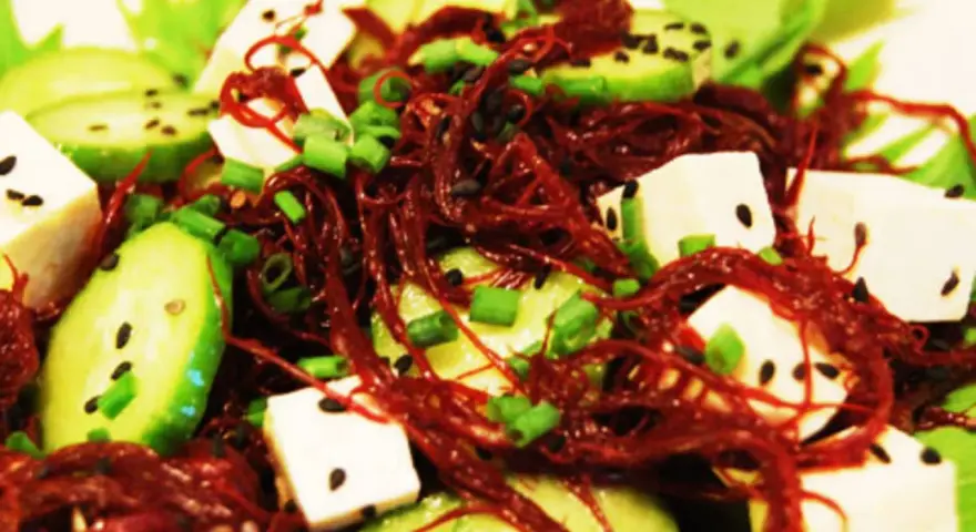 Salade fraîche avec des cubes de tofu, des rondelles de concombre, des oignons verts et une généreuse portion d'algue rouge séchée.