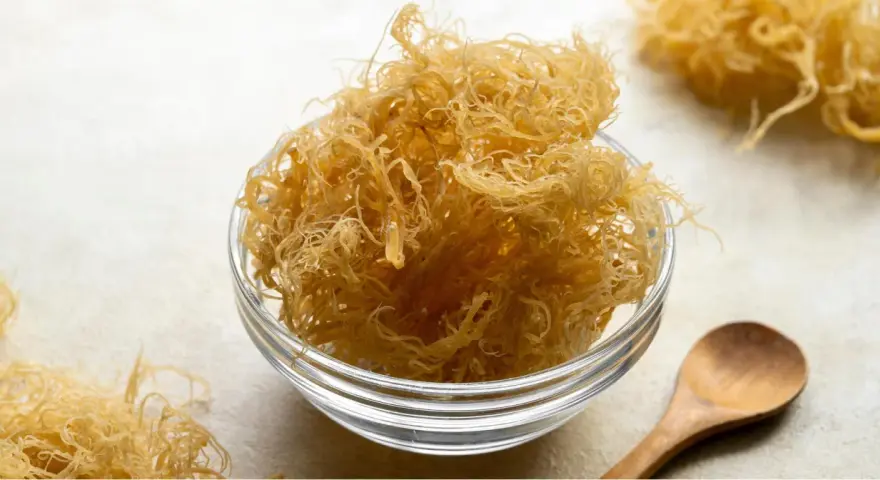 Un bol en verre rempli de **irish moss** séché, ressemblant à des fils fins et dorés. Une cuillère en bois repose à côté.