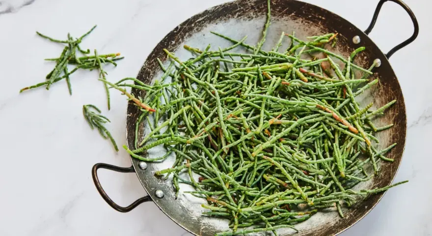 Un plat rempli de salicorne fraîche, un légume marin aux nombreux bienfaits pour la santé, prêt à être cuisiné.