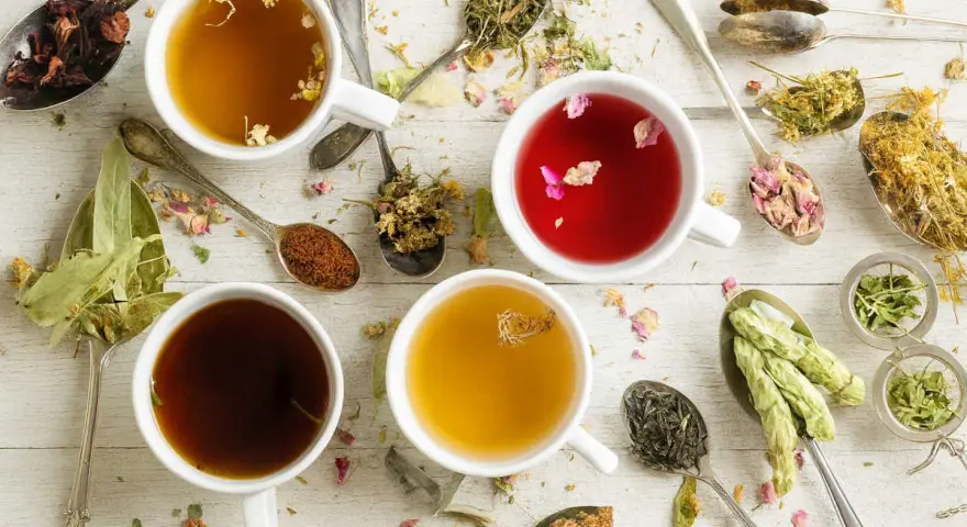 Tasses de tisanes aux herbes variées, idéales pour une infusion douleur règles. Des cuillères regorgent de fleurs séchées et de feuilles.