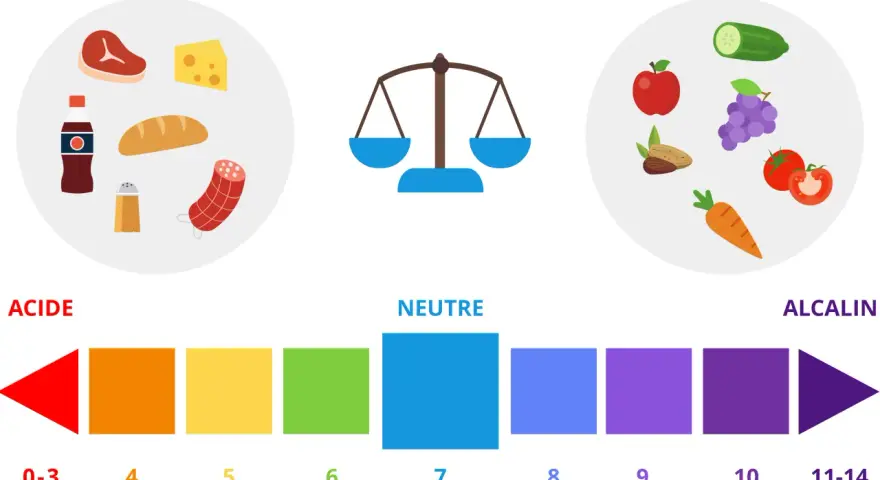 Balance alimentaire : aliments acides (viande, fromage, cola) vs alcalins (fruits, légumes). Le pH de 0 à 14.