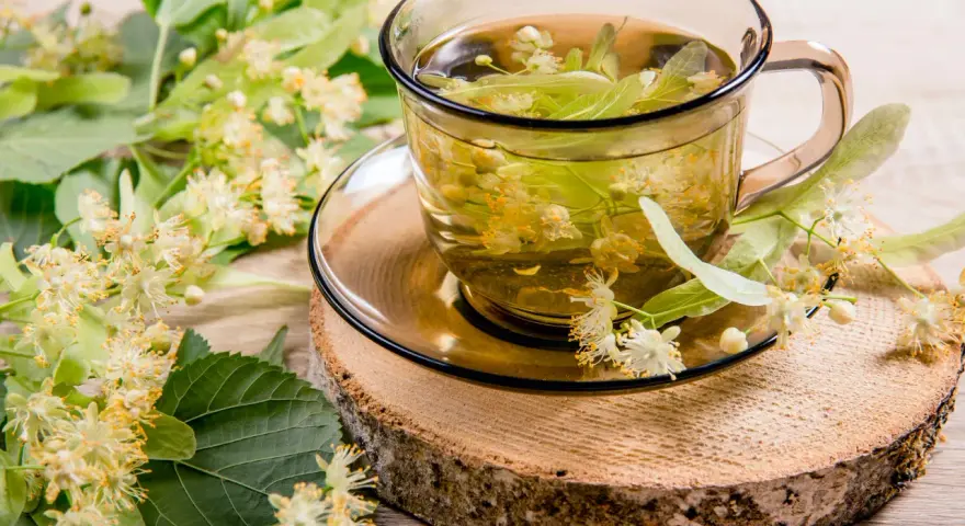 Une tasse de thé de tilleul, aux fleurs et feuilles fraîches, évoquant ses bienfaits apaisants.