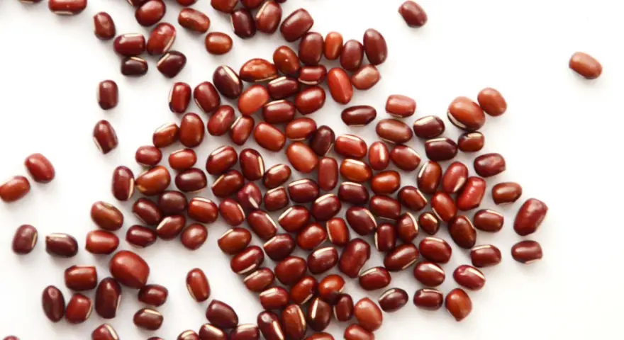 Grains de haricot azuki, petits et rouges, parsemés sur fond blanc. Découvrez les haricot azuki bienfaits pour une alimentation saine.