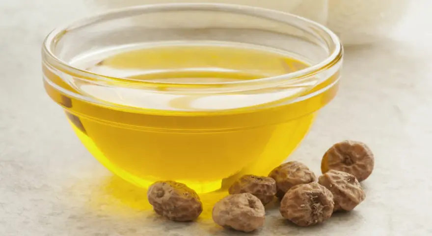 Huile dorée dans un bol en verre, entourée de noix de terre. Découvrez les noix de terre bienfaits pour une peau éclatante et une santé optimale.