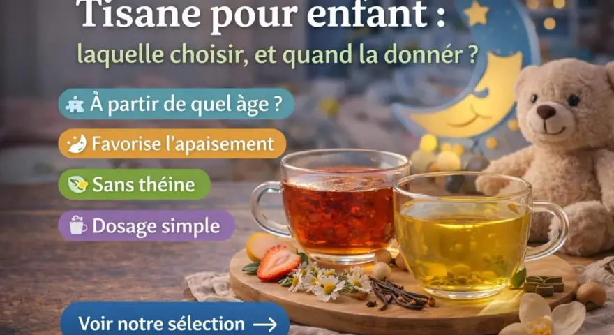Deux tasses de tisane enfant, une rouge et une jaune, sur un plateau avec des fruits et des fleurs. Un ours en peluche et une lune lumineuse en arrière-plan.