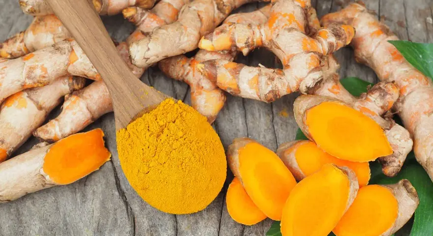 Curcuma fraîche et poudre dorée sur cuillère en bois, évoquant les nombreux curcuma frais bienfaits pour la santé.