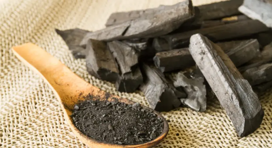 Morceaux de charbon actif et poudre dans une cuillère en bois. On se demande en combien de temps agit le charbon actif pour une détox.