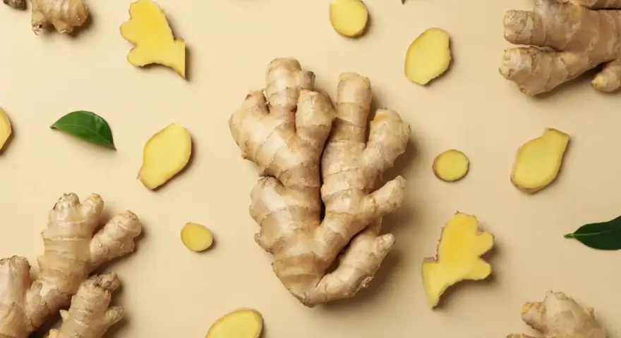 Gingembre frais, en morceaux et en tranches, disposés sur fond beige. Un aperçu de son gingembre effet immédiat.