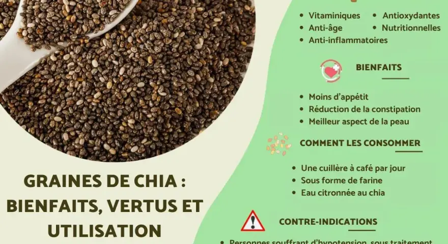 Graines de chia : leurs nombreux bienfaits pour la santé, comme la réduction de l'appétit et l'amélioration de la peau.