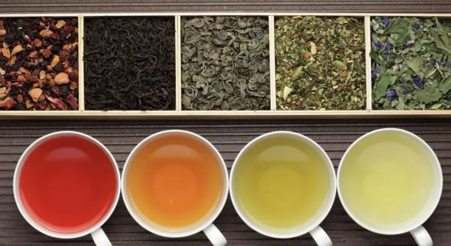 Six variétés de thés en vrac dans des compartiments, avec quatre tasses de thé infusé. Savoir combien de temps se conserve le thé en vrac est essentiel pour en apprécier la saveur.