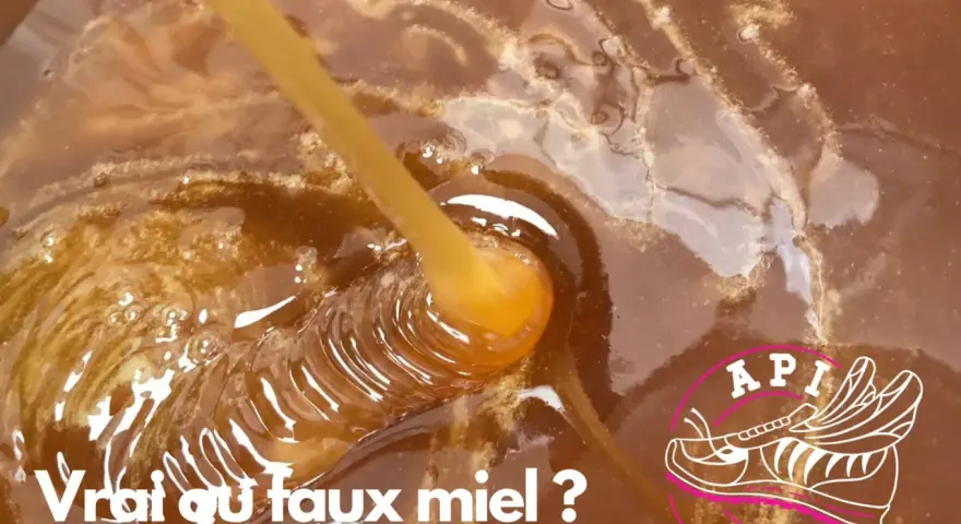 Goutte de miel cru bio, onctueux et doré, tombant dans un pot. Le texte "Vrai ou faux miel ?" interroge sur son authenticité.