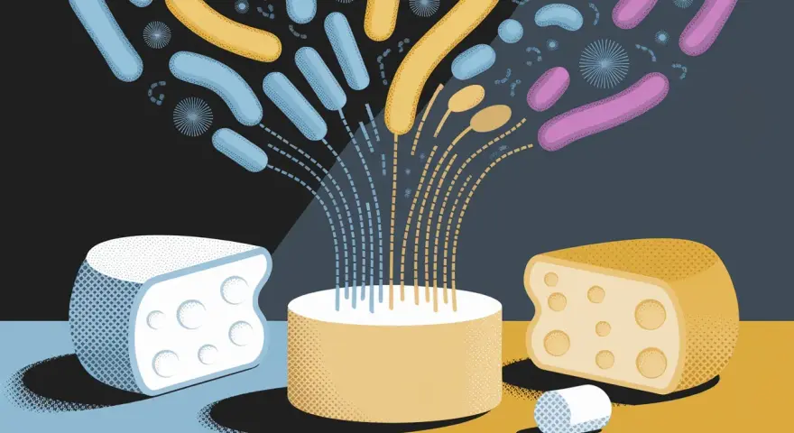 Des bactéries colorées s'échappent d'un cylindre, symbolisant la fermentation des fromages.