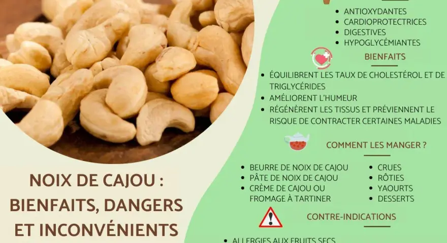Gros plan sur des noix de cajou, avec des informations sur leurs bienfaits, mais aussi le noix de cajou danger potentiel lié aux allergies et au cardol.