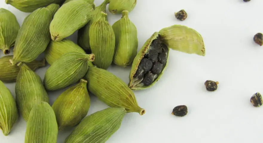 Gousses de cardamome verte, une ouverte révélant ses graines noires. Découvrez les cardamome bienfaits pour la santé et la cuisine.