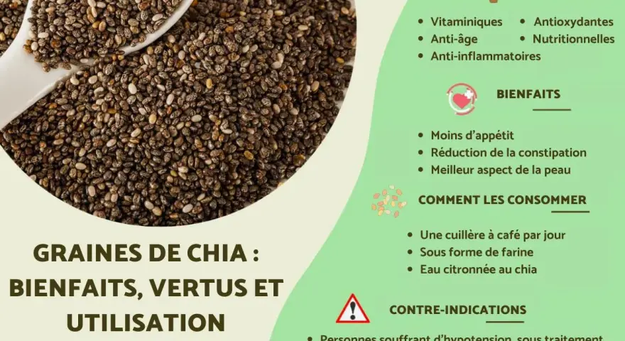 Graines de chia : une cuillère à café par jour pour leurs bienfaits nutritionnels, anti-âge et anti-inflammatoires.