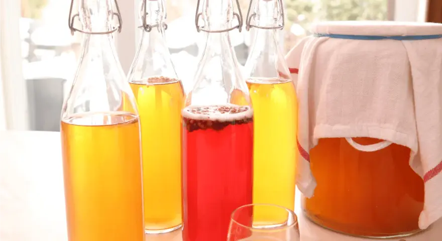 Bouteilles de kombucha jaune et rouge, prêtes pour la fermentation. Apprenez comment faire du kombucha maison.