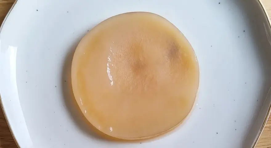 Disque de kombucha moisi, d'une couleur beige pâle, posé sur une assiette blanche.
