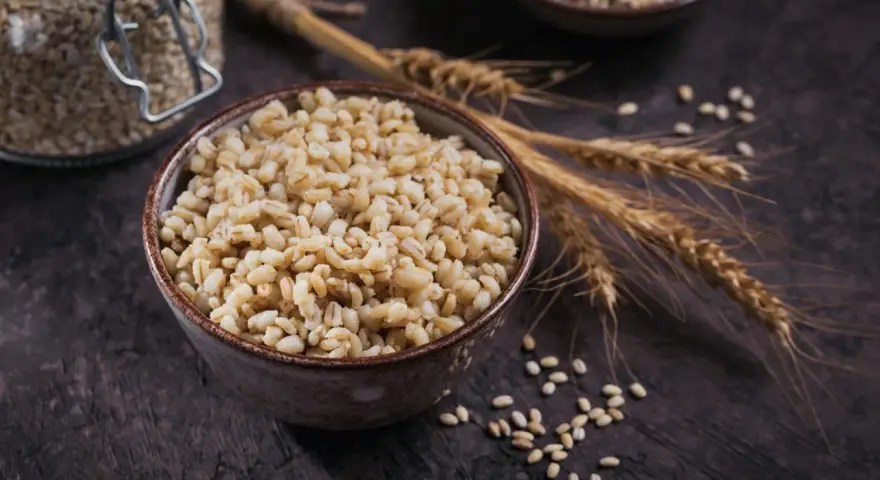 Un bol de perles d'orge cuites, avec des épis et des grains d'orge, évoquant les nombreux bienfaits de ce grain.