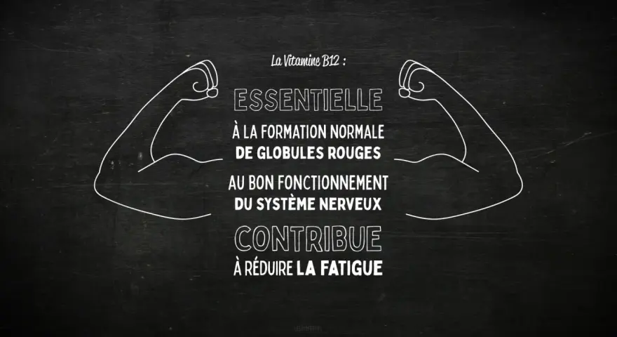 La vitamine B12, essentielle pour les globules rouges et le système nerveux, aide à réduire la fatigue. Des bras musclés symbolisent sa force.
