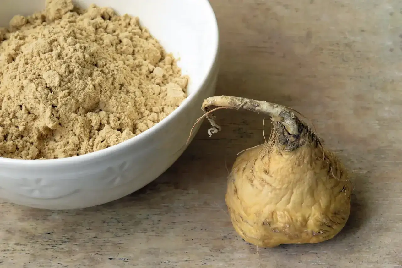 Une racine de maca jaune à côté d'un bol de poudre de maca.