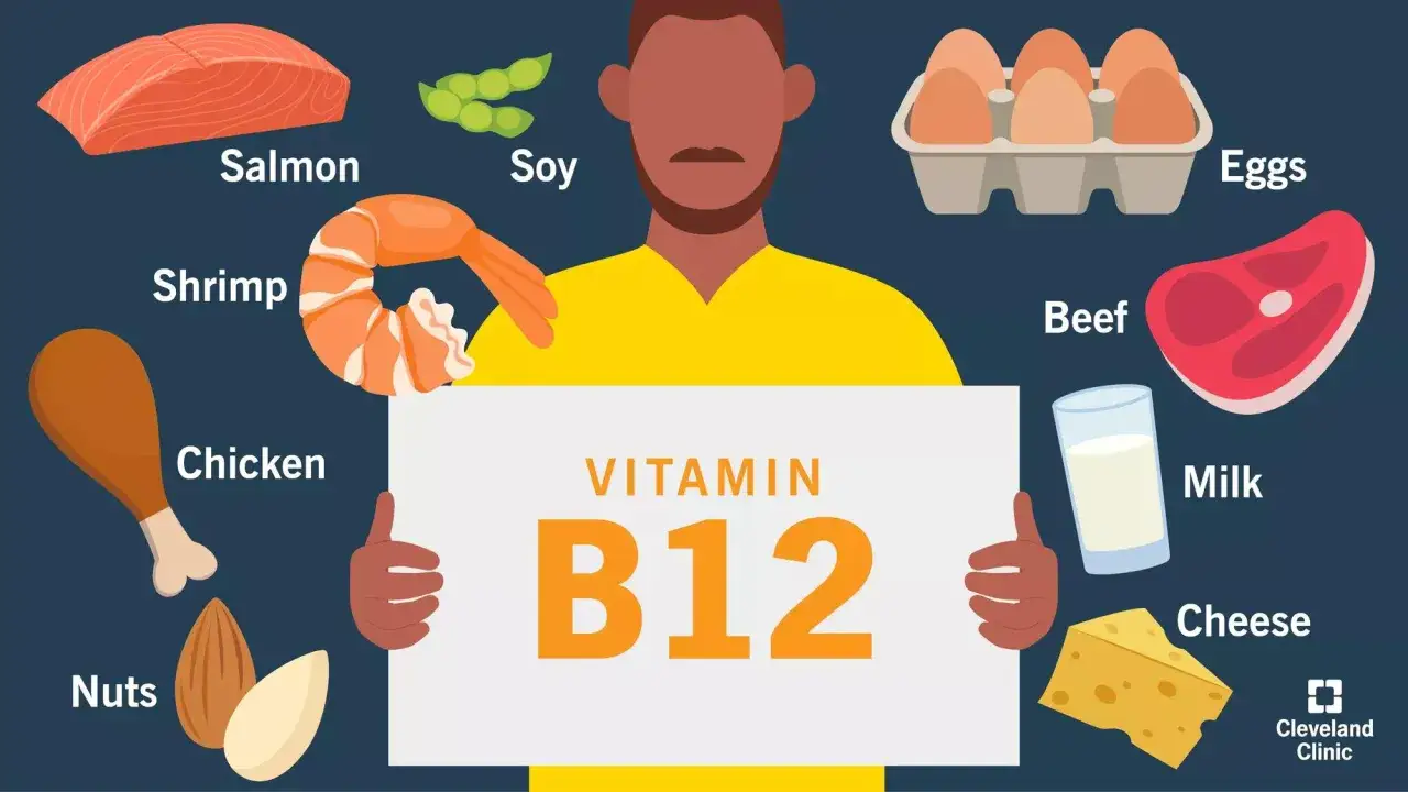 Sources de vitamine B12 : saumon, crevettes, poulet, noix, soja, &oelig;ufs, b&oelig;uf, lait, fromage.