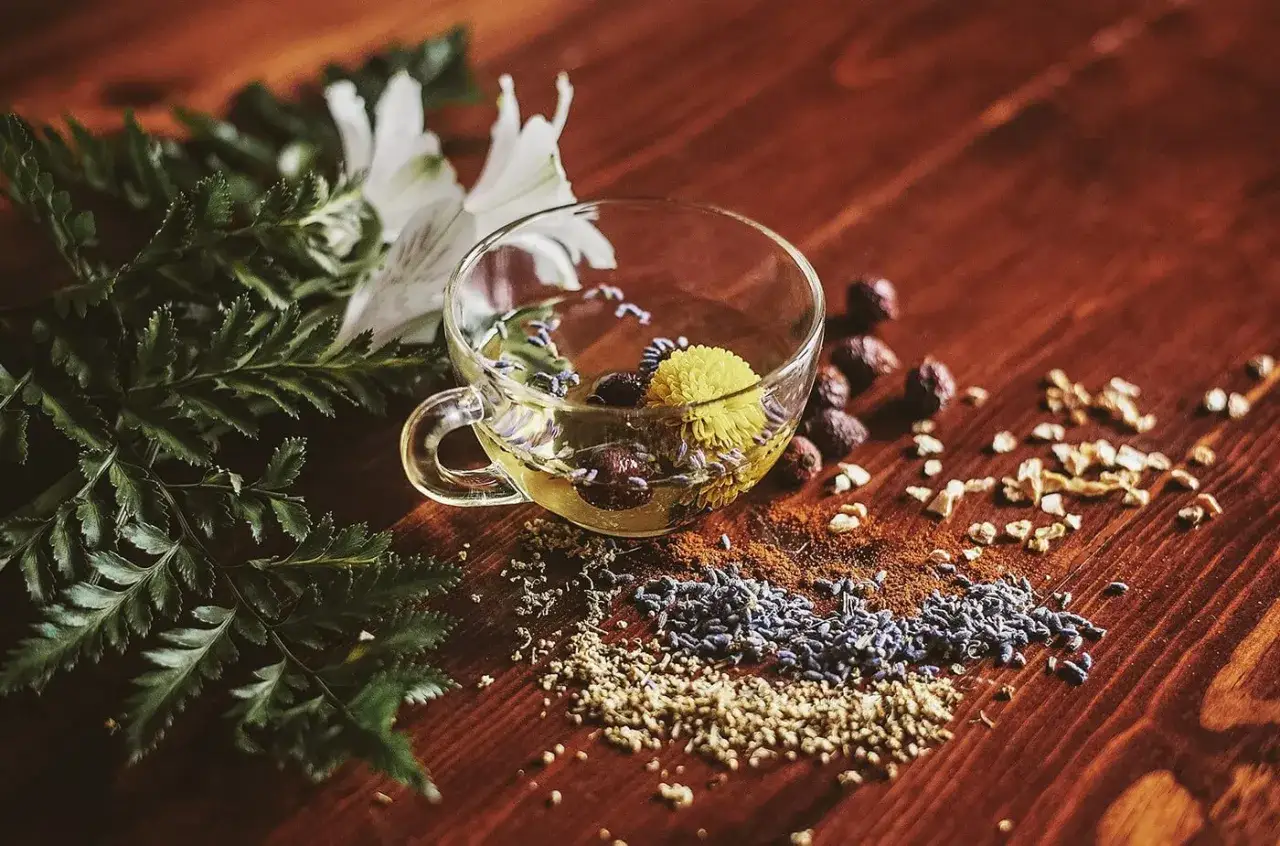 Infusion de thym et de fleurs dans une tasse, entour&eacute;e d'herbes et de baies. D&eacute;couvrez les thym bienfaits pour votre bien-&ecirc;tre.