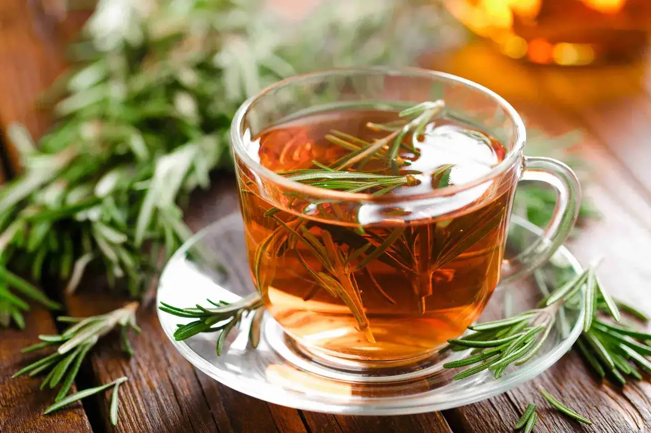 Une tasse de tisane de romarin fumante, garnie de brins frais, sur une soucoupe en verre, avec des branches de romarin en arrière-plan.