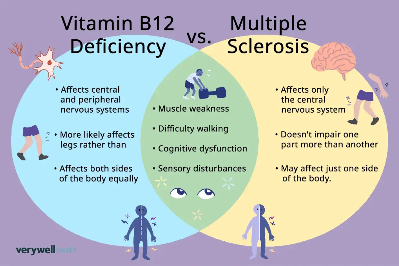 Comparaison entre carence vitamine B12 et scl&eacute;rose en plaques : sympt&ocirc;mes neurologiques, moteurs et cognitifs. La carence B12 affecte les syst&egrave;mes nerveux central et p&eacute;riph&eacute;rique.
